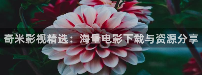 草草影院永久发布地址